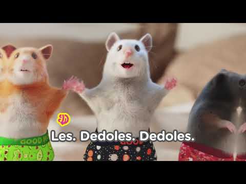 Dedoles.cz - Ranní tanec křečků (rap verze)