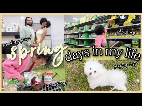 DAYS IN MY LIFE| Wedding Prep, Gardening, Shop With Me & Planting Seeds| Cozy Spring Vlog ???? *asmr*