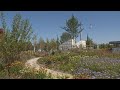 Almeerse maatschappelijke initatieven kunnen zich nog aanmelden voor Floriade-planten