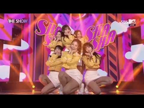 Sha Sha 4th Week of March The Show (3/20/2018)