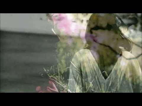 Tim Hardin - How Can We Hang On to A Dream (HD, HQ) + lyrics