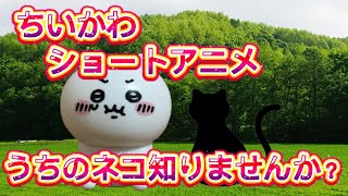 【ちいかわショートアニメ】うちのネコ知りませんか？