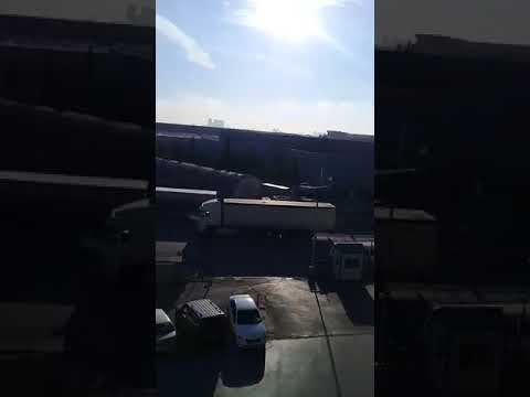 AFRİKA SERENGETİ KAREM EMPRİME