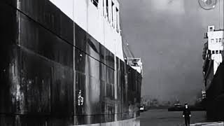 Anti Nowhere League: On the Waterfront