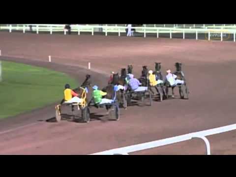 Barack Flevo & Bas Crebas winnen PMU koers op Hippodrome de Wallonie - 28 jan. 2013