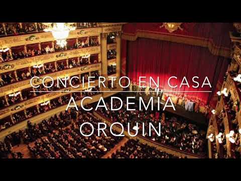 ONDAS DEL DANUBIO ORQUIN CONCIERTO EN CASA