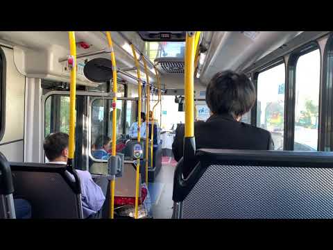 STA Sydney 2901 ST - Scania K310UB (ZF EcoLife)