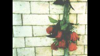 Pearls Of Progressive Rock 13: The Pineapple Thief "Part Zero"