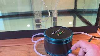Want a noisy aquarium pump? Don't Watch This