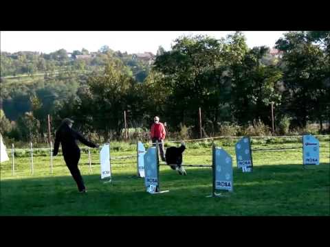 28 9 13 trojzkoušky agility Zlín