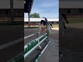 Cavalla PFS Pony Francese da Sella In vendita 2018 Nero ,  &Eacute;tam d&rsquo;Odival