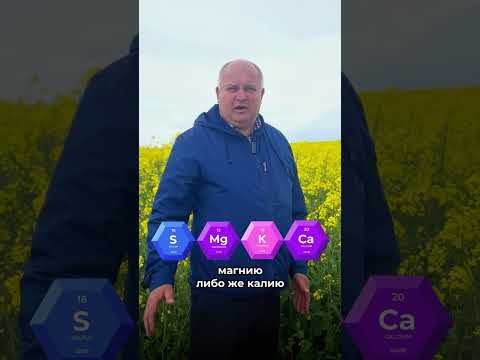 Миниатюра изображения товара Удобрение ICL Fertilizers Полисульфат Гранулы Хай (25кг)