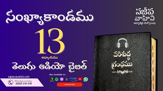 Numbers 13 సంఖ్యాకాండము Sajeeva Vahini Telugu Audio Bible
