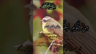 Download lagu Surt al jumama #abbasali #islamicstatus #butterfly #byan #funny mp3 Download lagu Surt al jumama #abbasali #islamicstatus #butterfly #byan #funny mp3