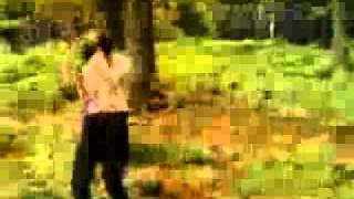 The Lemonheads - Into Your Arms