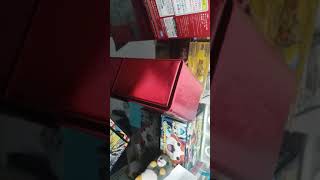 デュエマのスタートデッキ買った❗凄いゾ！