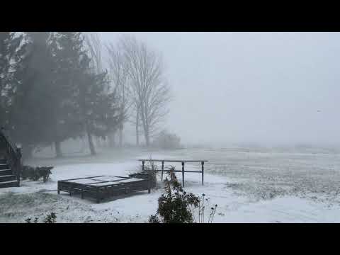 Squall Storm Lake Ariel PA 18436  (02-19-2022) (2)