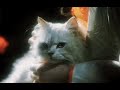 Wham! - Bad Boys (Lyrics)