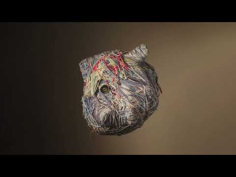 Indian Wells - Calabrian Woods (Official Video by Lawrie Miller)