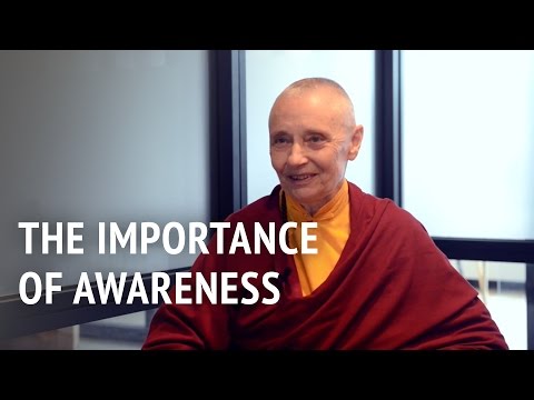 The Importance of Awareness | Jetsunma Tenzin Palmo
