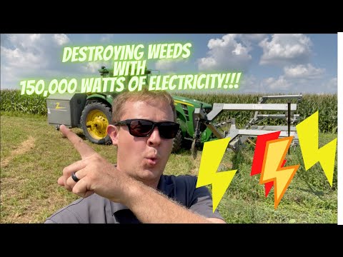 Destroying Weeds with 155,000 Watts of Electricity - Weedzapper Annihilator