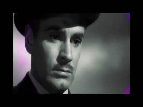 Limid - "Stille" (prod. Limido)