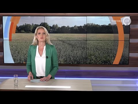 GLD Nieuws 3 juli 2019 - Woesdag 3 juli