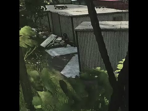 200+ customs raids and finally run into the goon squad!