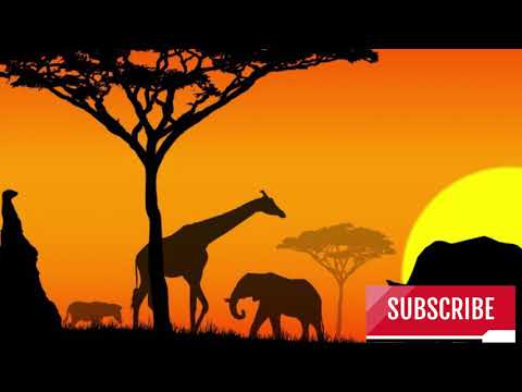 Tunexbeatz ft NeGa Don, Dj Fujeez - You Love