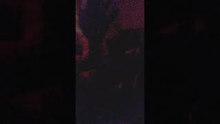 Denver harbor houston tx pj 4 min freestyle