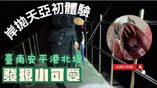 [遊記］安平港北堤岸抛天亞初體驗