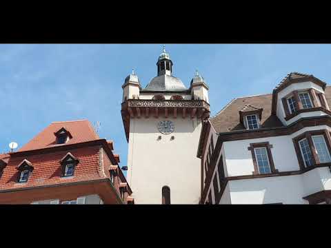 Die Herbstzeitlosen - Besuch im Elsass