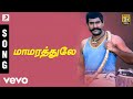 Karisakattu Poove Mamarathule Tamil Song Napoleon Vineeth Khushbu