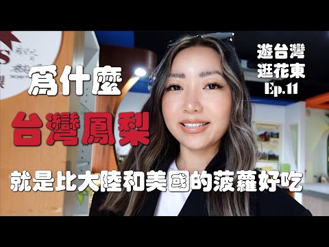 超想带回美国的台湾凤梨藏着什么秘密｜这里就是全台最大土凤梨产地｜学到超多台湾凤梨知识｜吃凤梨品台湾人情味｜游台湾逛花东Ep. 11