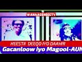 HEES Aramidaadii Deeqa Iyo Daahir Cismaan Gacanlow Iyo Xaliimo Khaliif Magool