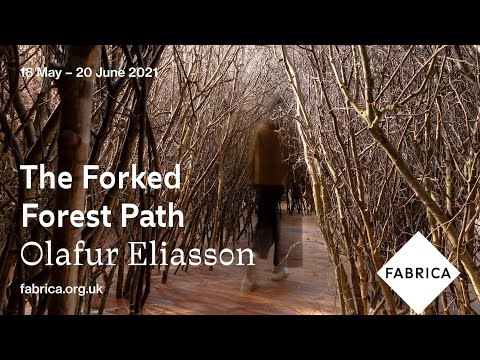 The Forked Forest Path by Olafur Eliasson (2021)