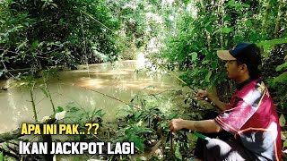 Download lagu Sungai mulai pasang..!! Pas untuk mancing pakai 2 joran dapat jackpot -Nya mp3