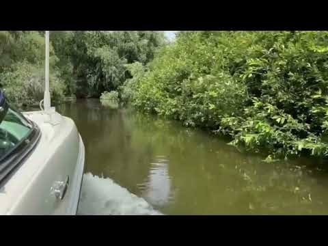 Plimbare cu barca în Delta Dunării