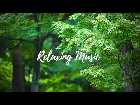 Relaxing Music With Nature Green - Stress Relief - Relaxation, Sleep, Work, Study and Yoga