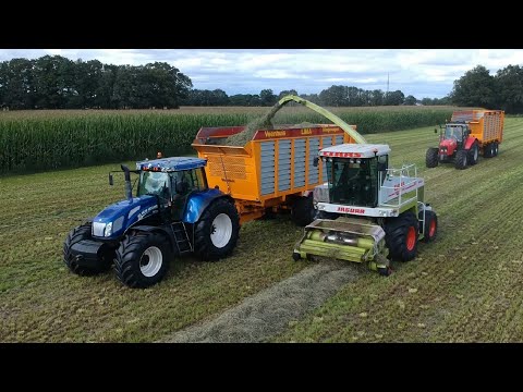 Claas Jaguar 695 Mega