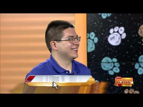 What to Do if Your Dog Runs Away