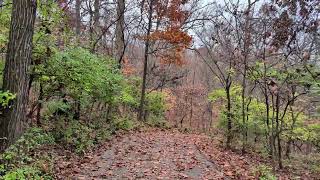 ☁️ Chilly Walk from RiverChase to Little Free Library | Westside Park (Fenton, MO Ambient 4K)