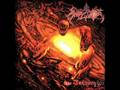 Angelcorpse Solar Wills 