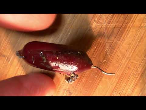 Nordmende Norma Luxus Tube Radio Video #7 - Socket to Me