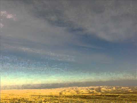 BeEPsy - Nature morning