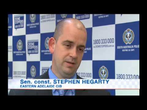 13-64  Serious Criminal Trespass and Theft - Antique Stores