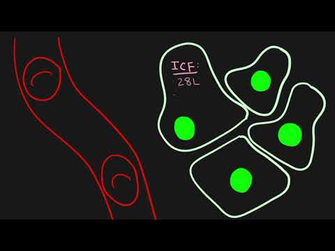 3. Intro to fluid compartments: ECF and ICF