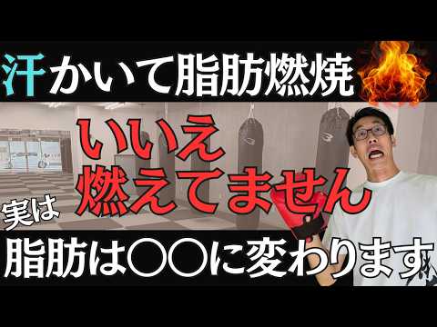 【衝撃】汗をかいても痩せません。脂肪が消える「本当の出口」とは？のサムネイル