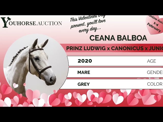 Ceana homevideo