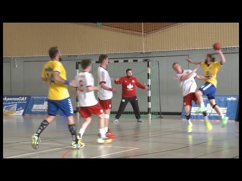 Stiere zu Gast bei Freunden